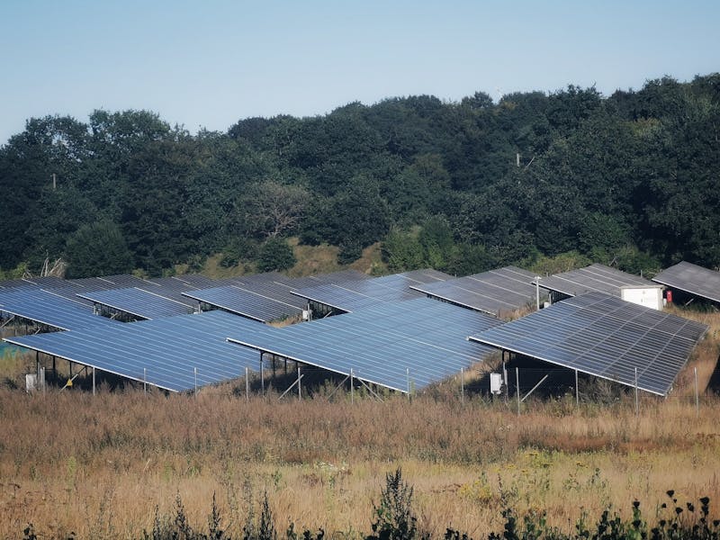 pexels-photo-33537433-1